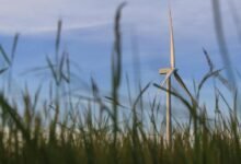 cloud solutions for growth