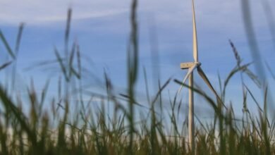 cloud solutions for growth