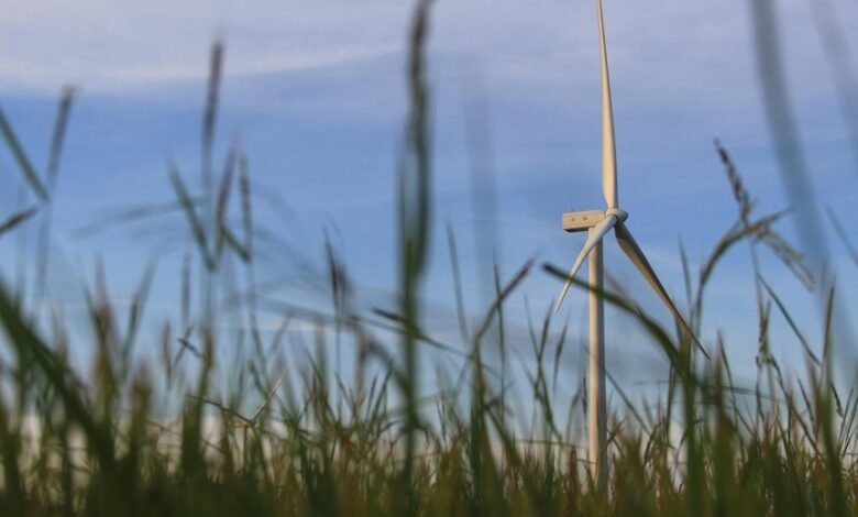 cloud solutions for growth